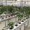 Vertical Hydropnic Garden Growing System Home Greenhouse Farm Used