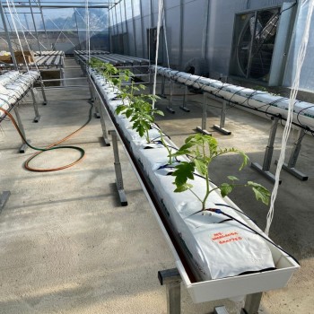 Vertical Hydropnic Garden Growing System Home Greenhouse Farm Used