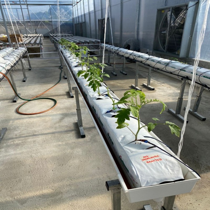 Vertical Hydropnic Garden Growing System Home Greenhouse Farm Used