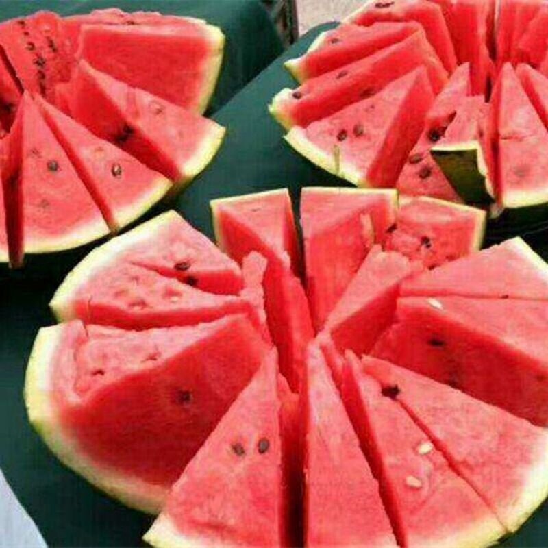 Sweet Fresh Watermelon Commonly Cultivated for Maximum Flavor