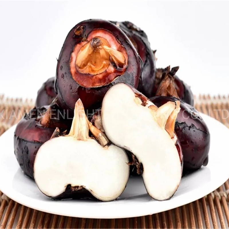 Glass Jarred Water Chestnut Warped in Bacon