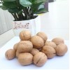 Premium Washed Inshell Walnuts Wholesale Factory Direct Supplier 185 33