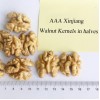 Premium Washed Inshell Walnuts Wholesale Factory Direct Supplier 185 33