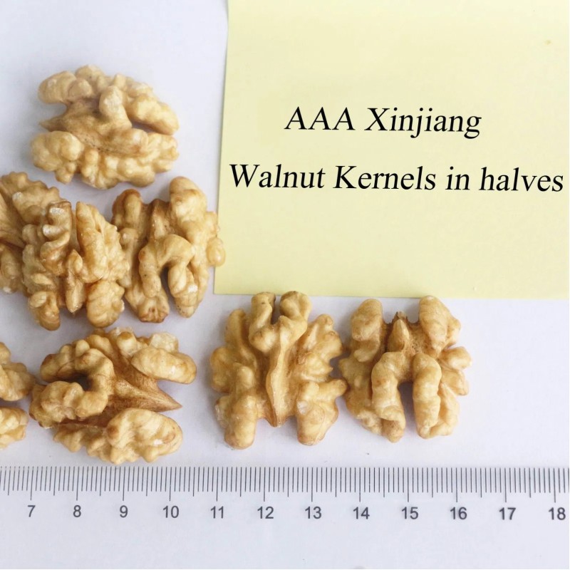 Premium Washed Inshell Walnuts Wholesale Factory Direct Supplier 185 33