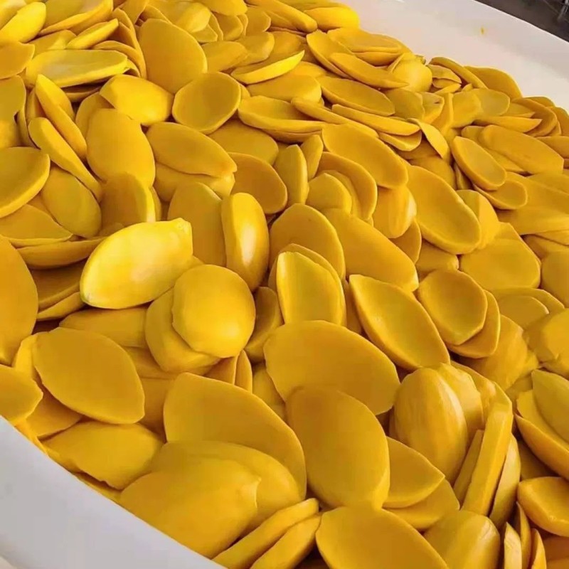 Dried Mango Fresh Soft Mango Dried