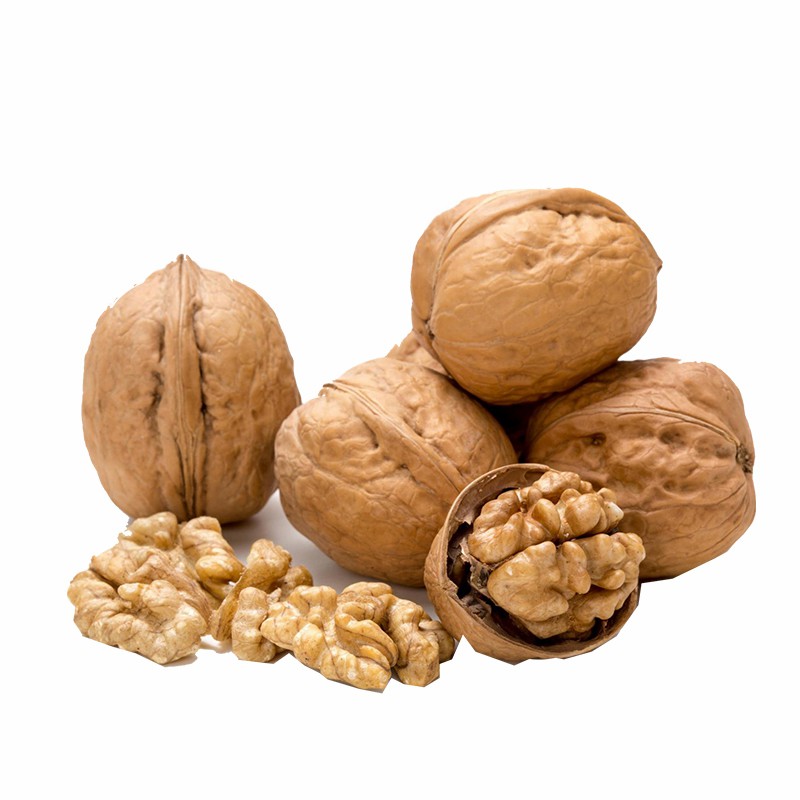 Chinese Inshell 185/33/Xiner 2 Walnuts Wholesale Price
