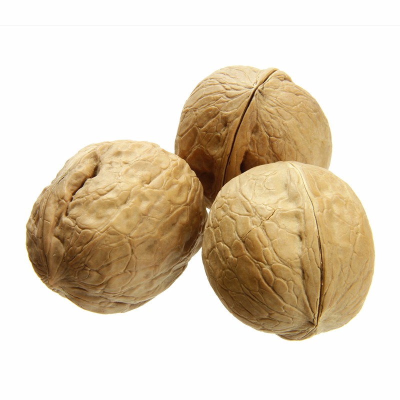 Chinese Inshell 185/33/Xiner 2 Walnuts Wholesale Price