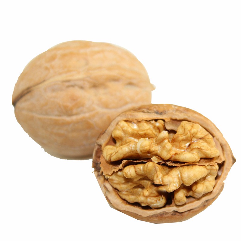 Chinese Inshell 185/33/Xiner 2 Walnuts Wholesale Price