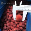 China New Season Different Varieties of Frozen Fruit Strawberries