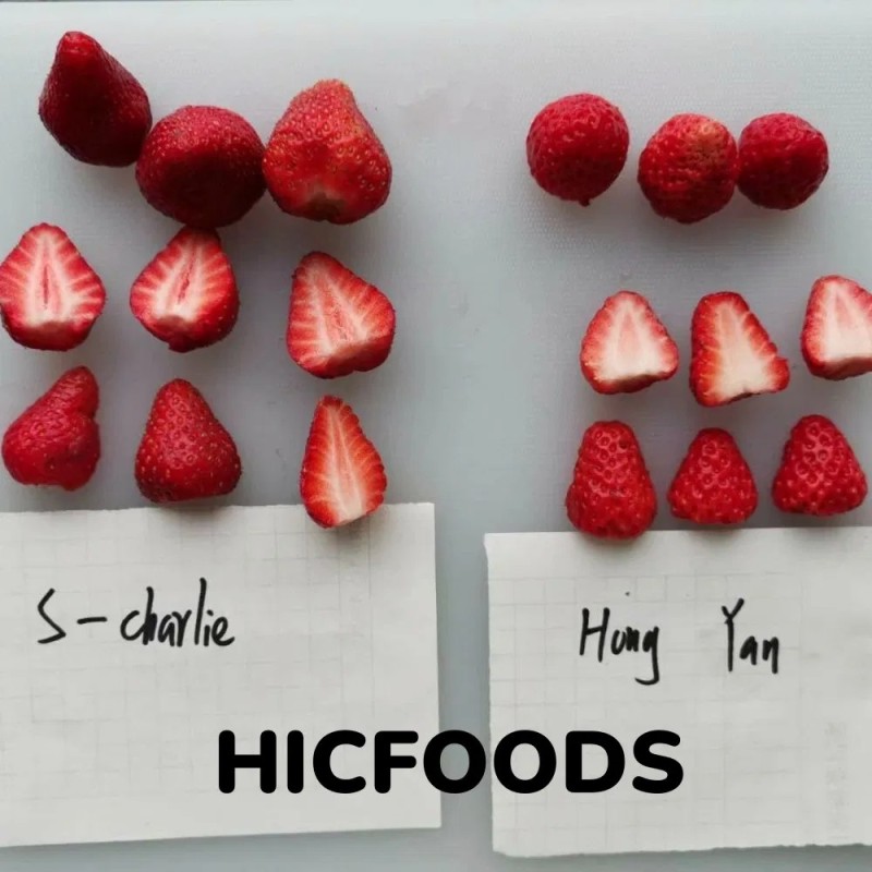 China New Season Different Varieties of Frozen Fruit Strawberries