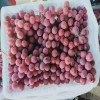 Red Globe New Crop Fresh Red Grapes