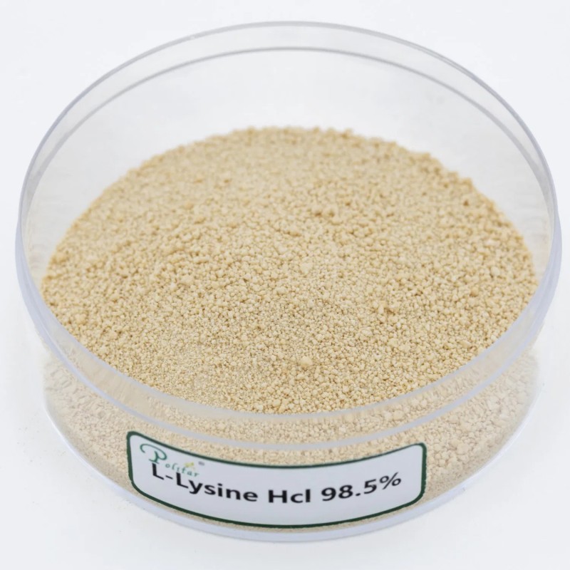 Poultry Feed L-Lysine Mono Hydrochloride 98.5% Eppen Fufeng Meihua Brand