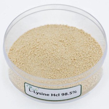 Poultry Feed L-Lysine Mono Hydrochloride 98.5% Eppen Fufeng Meihua Brand