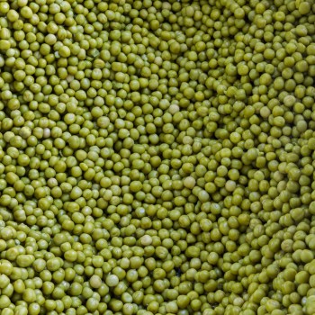 Canned Cultivated Green Pea in Brine