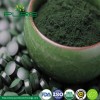Pure Nutritional Spirulina Supplement Tablets for Enhanced Health Benefits