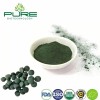 Pure Nutritional Spirulina Supplement Tablets for Enhanced Health Benefits