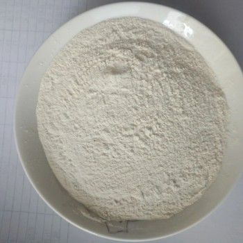 Dehydrated White Onion Powder Factory