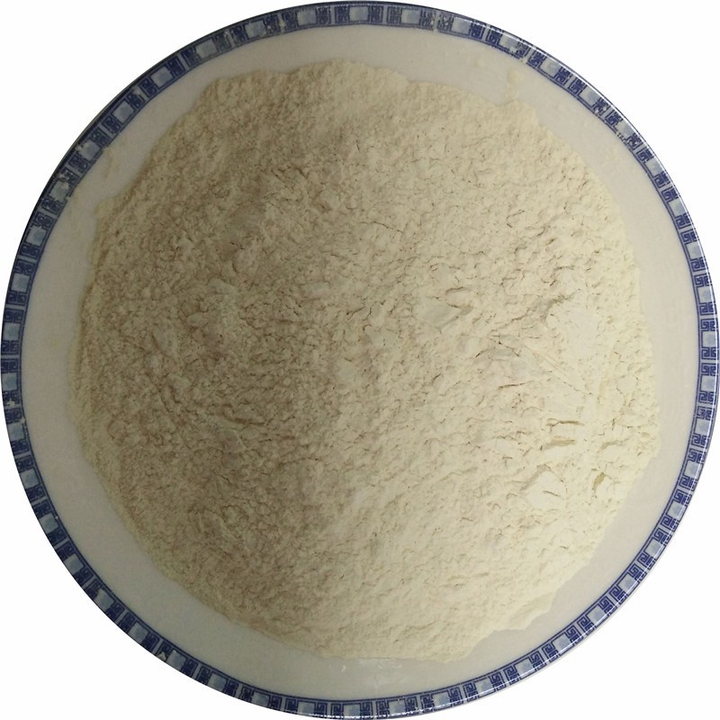 Dehydrated White Onion Powder Factory