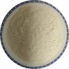 Dehydrated White Onion Powder Factory