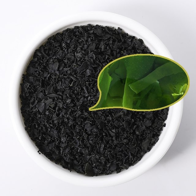 Dried Wakame Seaweed for Miso Soup Packaged in a Bag