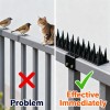 Eco-Friendly Anti-Pigeon & Cat Deterrent Humane Bird & Cat Control Adjustable for Ledges & Fences 30cm Heavy-Duty Plastic Bird Spikes (20PCS)