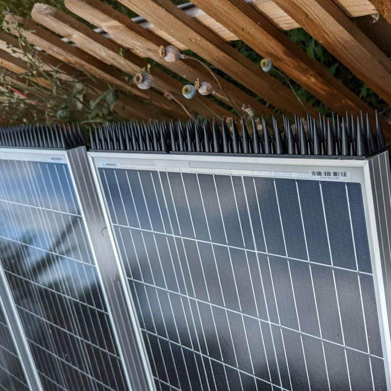 Eco-Friendly Anti-Pigeon & Cat Deterrent Humane Bird & Cat Control Adjustable for Ledges & Fences 30cm Heavy-Duty Plastic Bird Spikes (20PCS)