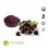 Organic Acai Berry Powder 100% Pure Powder Acai Berry Extract Powder