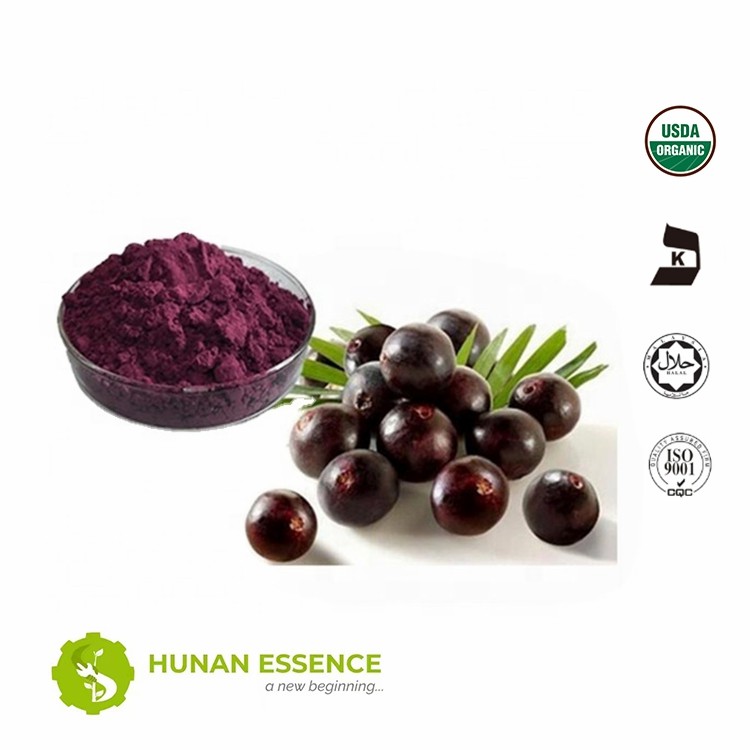 Organic Acai Berry Powder 100% Pure Powder Acai Berry Extract Powder