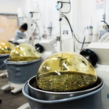 Organic Acai Berry Powder 100% Pure Powder Acai Berry Extract Powder