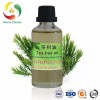 Wholesale 100% Organic Tea Tree Oil Essential Oil Manufacturer
