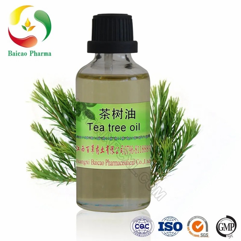 Wholesale 100% Organic Tea Tree Oil Essential Oil Manufacturer