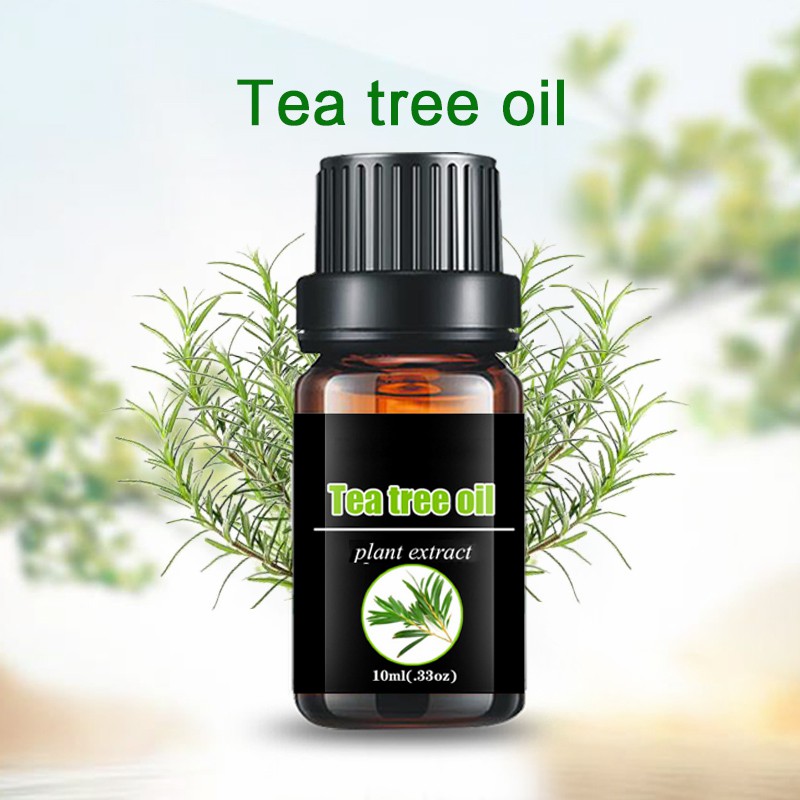 Wholesale 100% Organic Tea Tree Oil Essential Oil Manufacturer