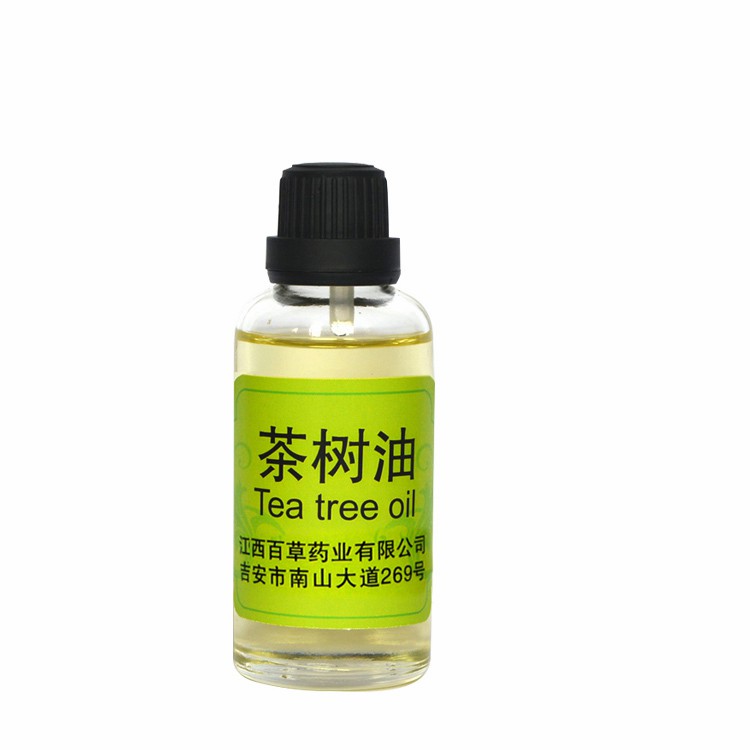 Wholesale 100% Organic Tea Tree Oil Essential Oil Manufacturer