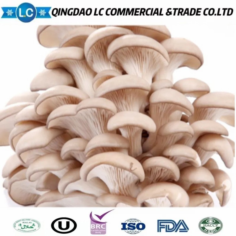 Good Quality Organic Frozen Pleurotus Ostreatus Mushroom
