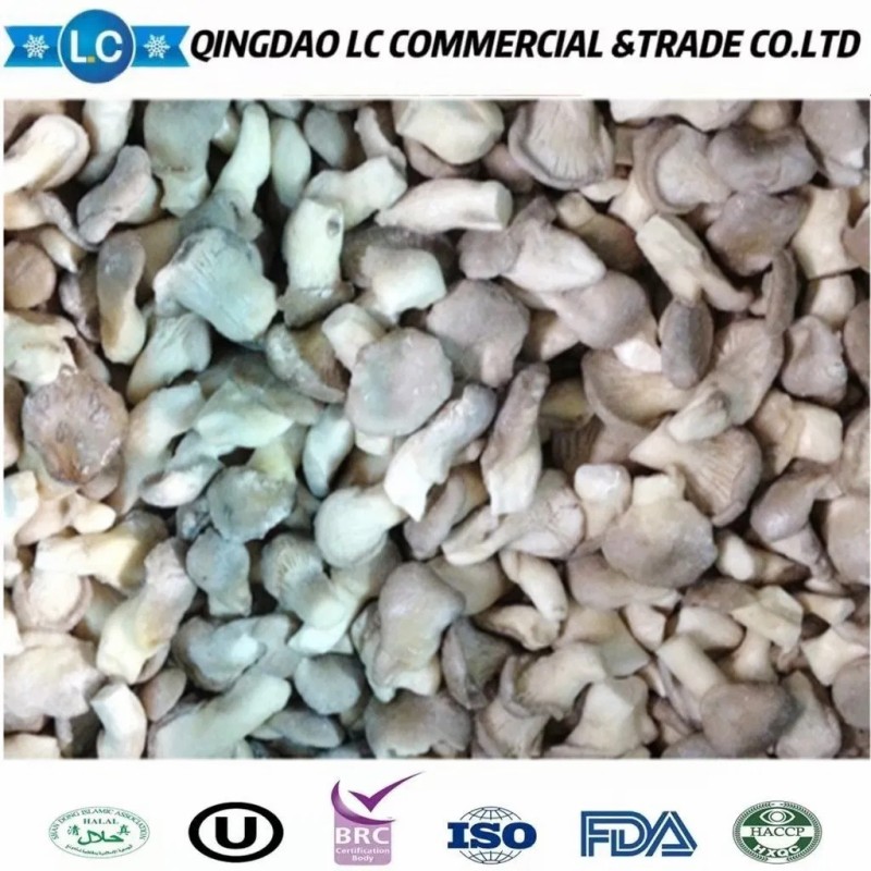 Good Quality Organic Frozen Pleurotus Ostreatus Mushroom