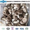 Good Quality Organic Frozen Pleurotus Ostreatus Mushroom