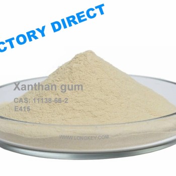 Xanthan Gum Powder CAS 11138-66-2