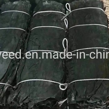 Seaweed Producut Type Dried Kelp Sheet SPA Treatments