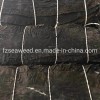 Seaweed Producut Type Dried Kelp Sheet SPA Treatments