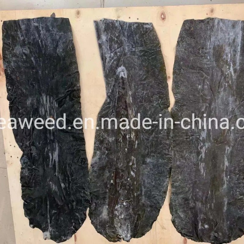 Seaweed Producut Type Dried Kelp Sheet SPA Treatments