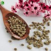 Cheap Price High Quality of Yunnan Arabica Green Coffee Bean