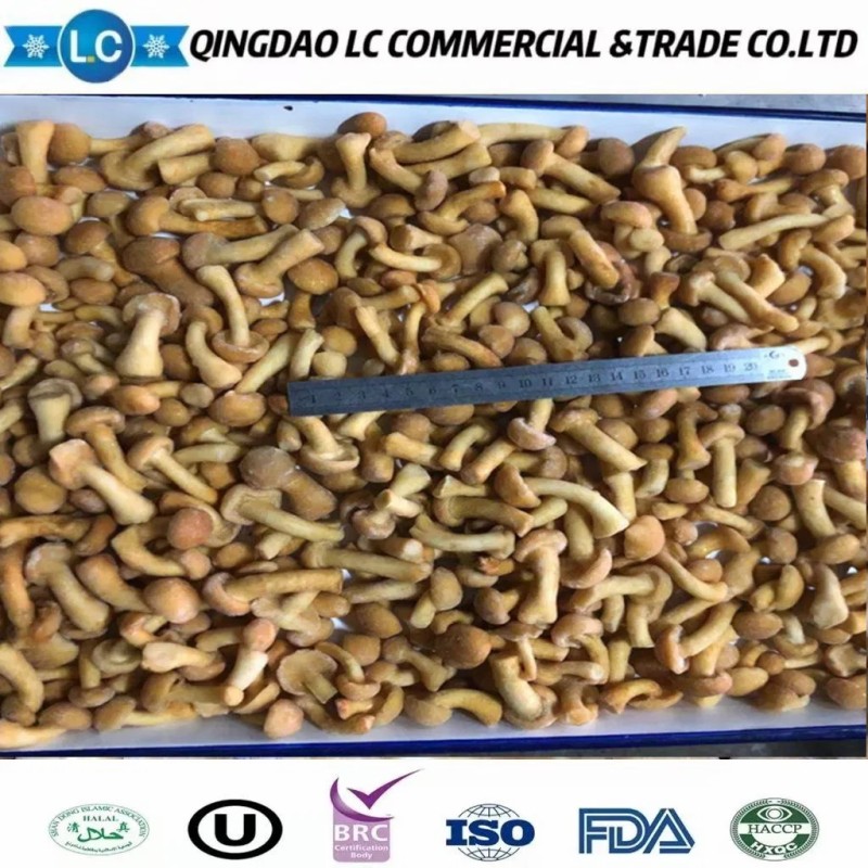 Top Quality Frozen Whole Nameko Mushroom for Sale