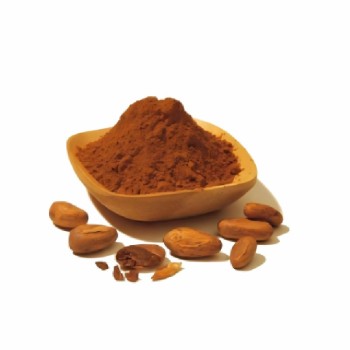 Food-Grade Alkalized Cocoa Powder, Natural Cocoa Powder, Raw Material for Milk Tea, Coffee, and Baking