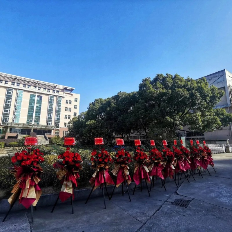 China Green Tea Special Chunmee Tea 9366aaaa for Morocco Factory Wholesale