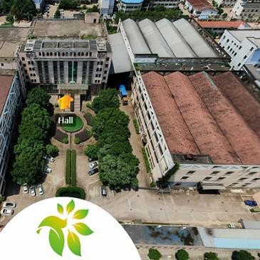 China Green Tea Special Chunmee Tea 9366aaaa for Morocco Factory Wholesale