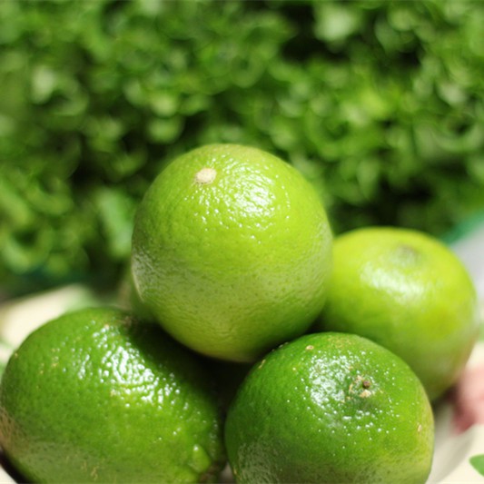 Food and Feed Grade Sweetener Neohesperidine Dihydrochalcone Nhdc E959