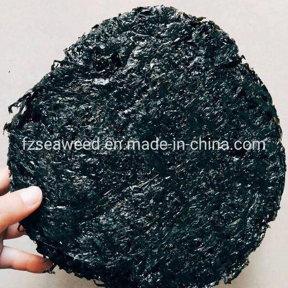 Wholesale Top Quality Natural Dried Nori Seaweed