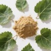 Premium Customized 1% Dnj Mulberry Leaf Extract Powder - Halal Certified