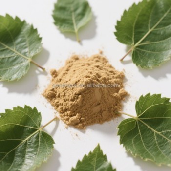 Premium Customized 1% Dnj Mulberry Leaf Extract Powder - Halal Certified