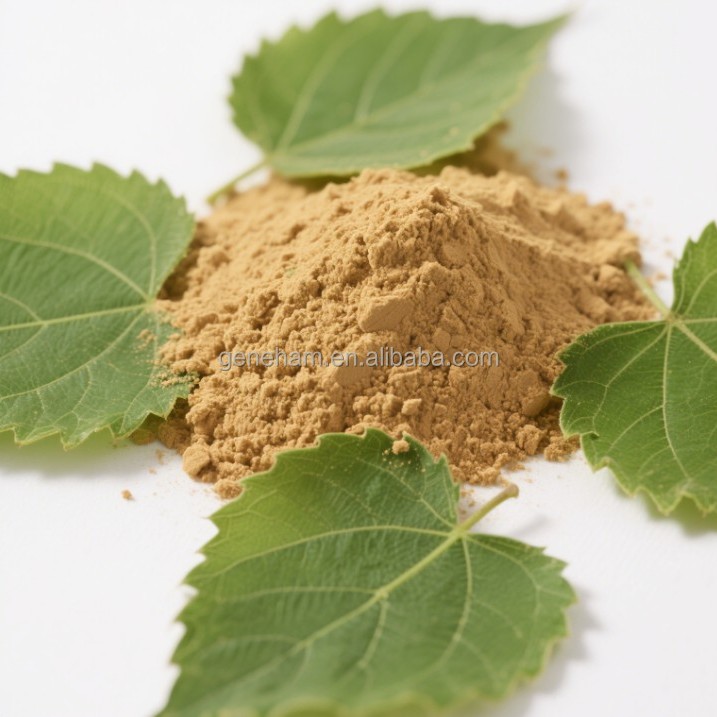 Premium Customized 1% Dnj Mulberry Leaf Extract Powder - Halal Certified